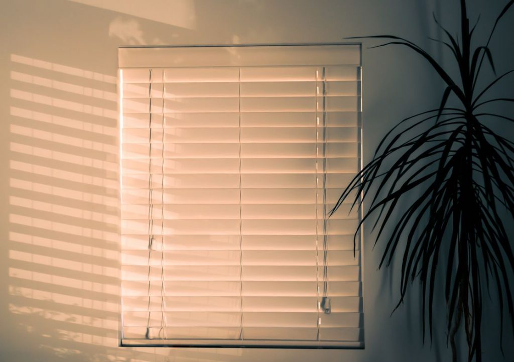 Closed window blinds