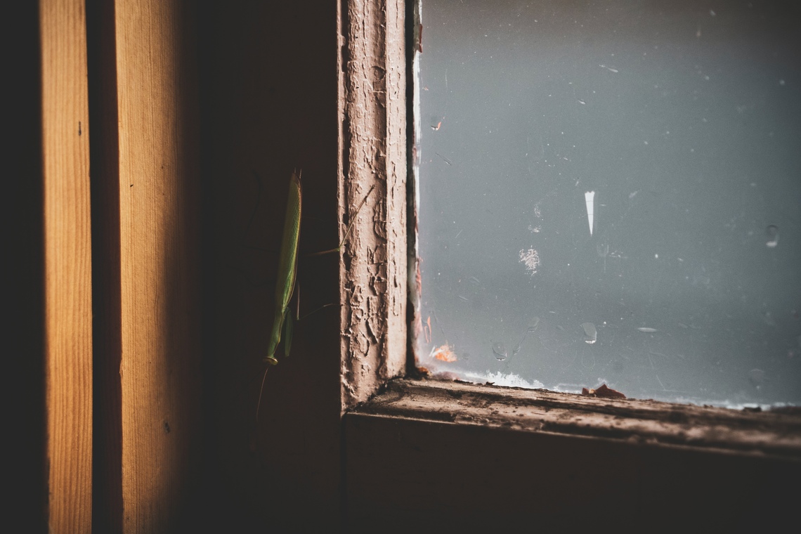 How to Seal Your Windows & Doors from Bugs | Window World